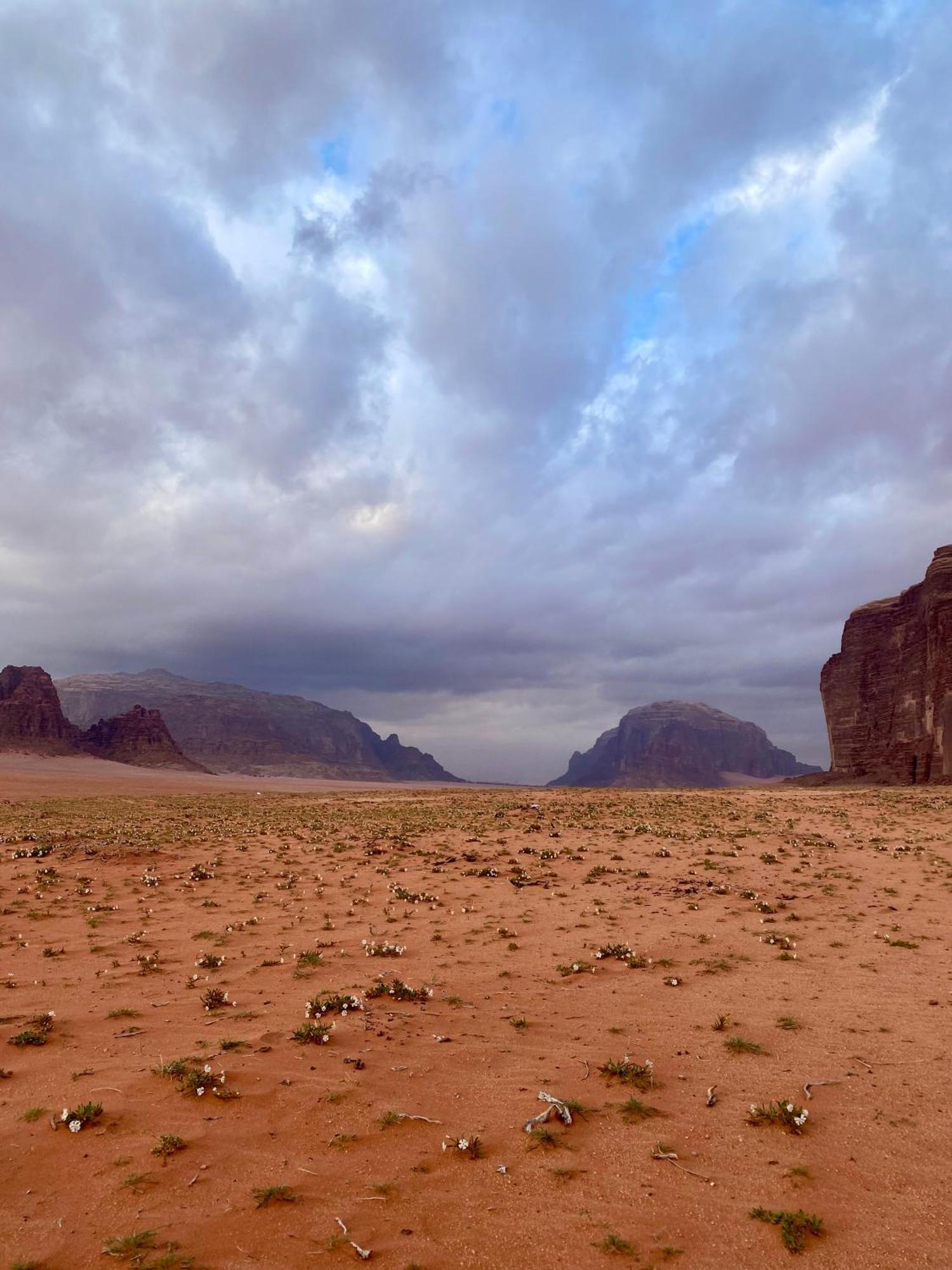 Glamp Camp Wadi Rum Bagian luar foto
